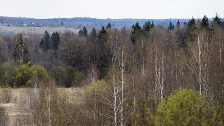 В Одинцовском округе стартуют работы по уборке лесов от мусора Новости Одинцово 