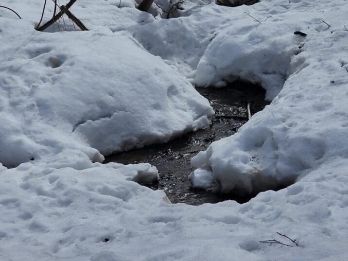 В микрорайоне Трехгорки для предотвращения подтоплений расчистят русла ручьев и прудов Новости Одинцово 